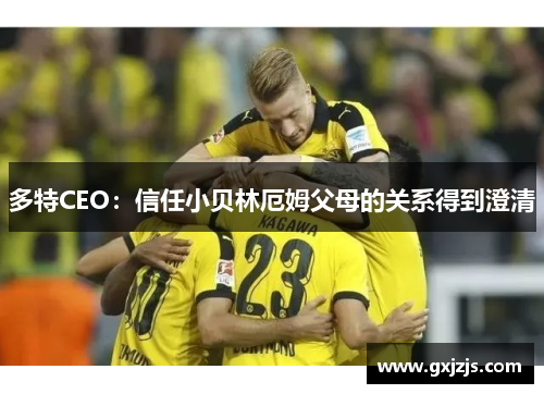 多特CEO：信任小贝林厄姆父母的关系得到澄清